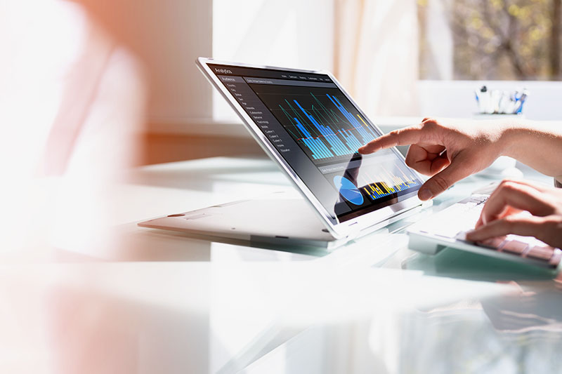Data analyst reviewing report