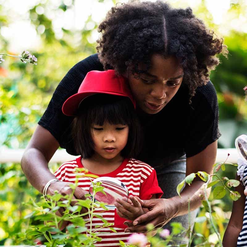adult showing child bugs with magnifying glass