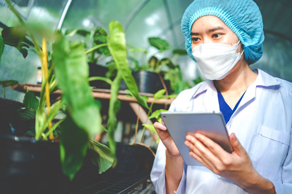 Chemist holding tablet while studying plants