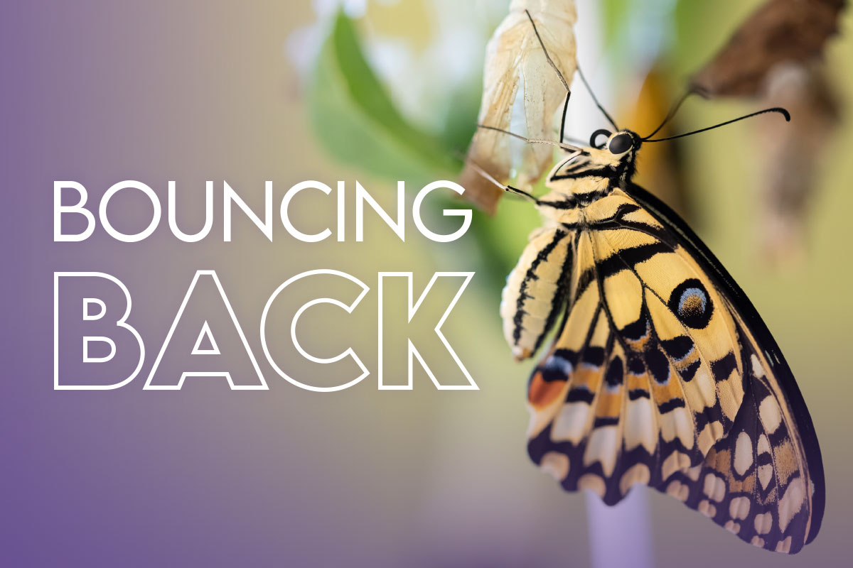 butterfly with text bouncing back