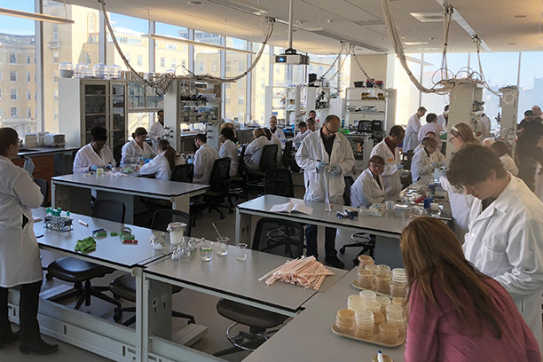 Merkel Grubisha lab training