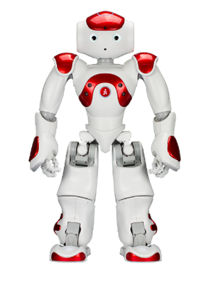 Humanoid Robot