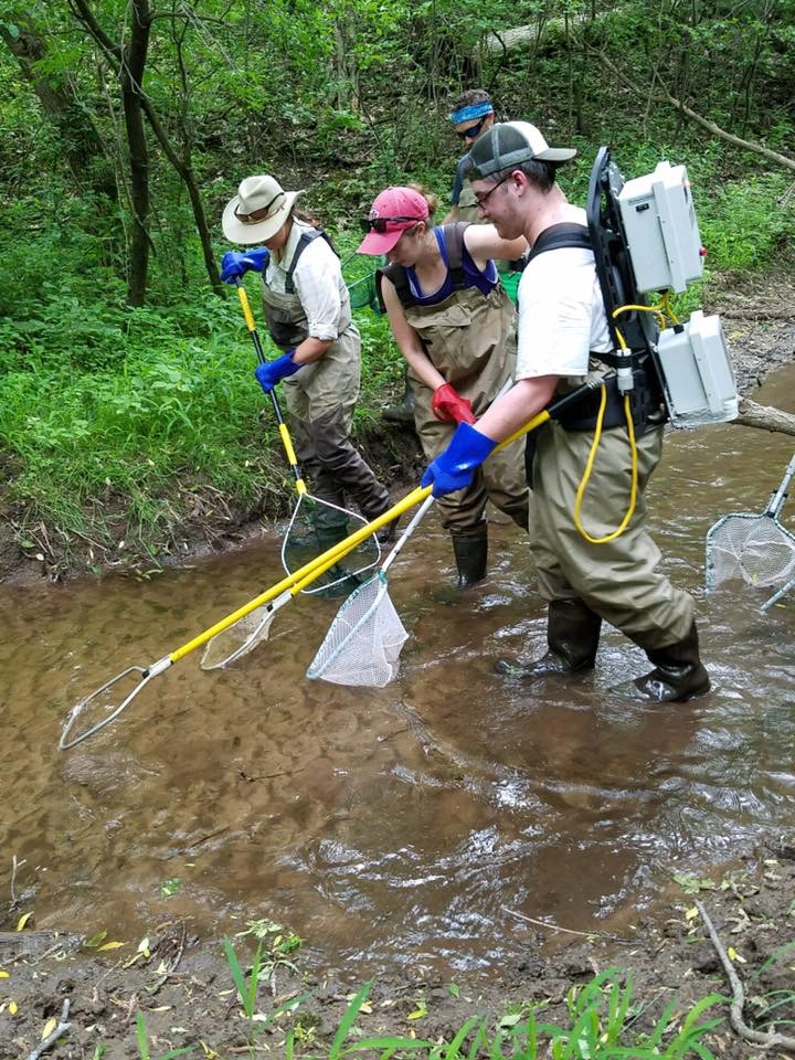 students studying the stream
