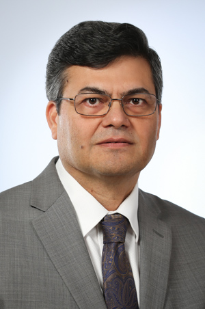 Chair of Business Administration, Associate Professor, Amulya Gurtu