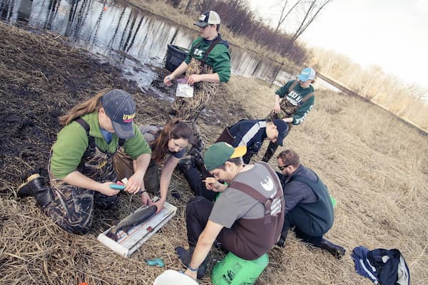 Students examine sturgeon at local natural area