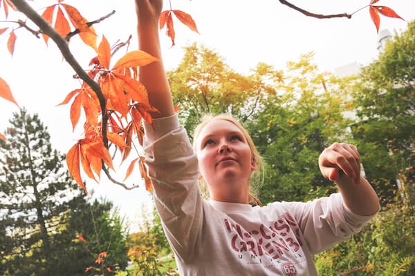 Student reaches for orange fall leaves