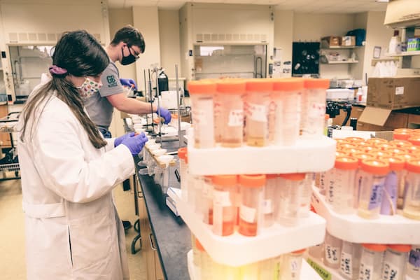 Students perform research in lab