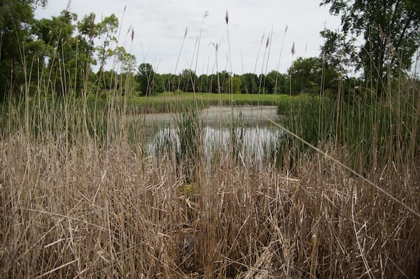 University of Green Bay's Cofrin Arboretum