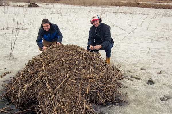 Student pose beside woodchip pile