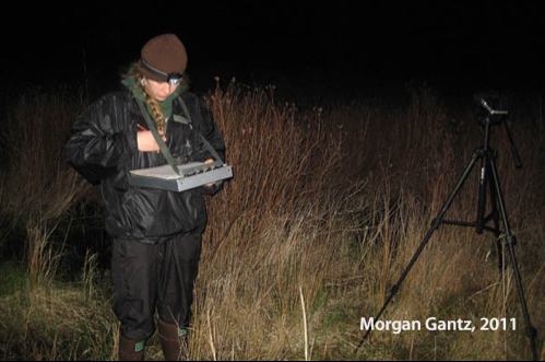 Scientest doing research outside at night