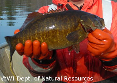 person holding Shoreline Fish