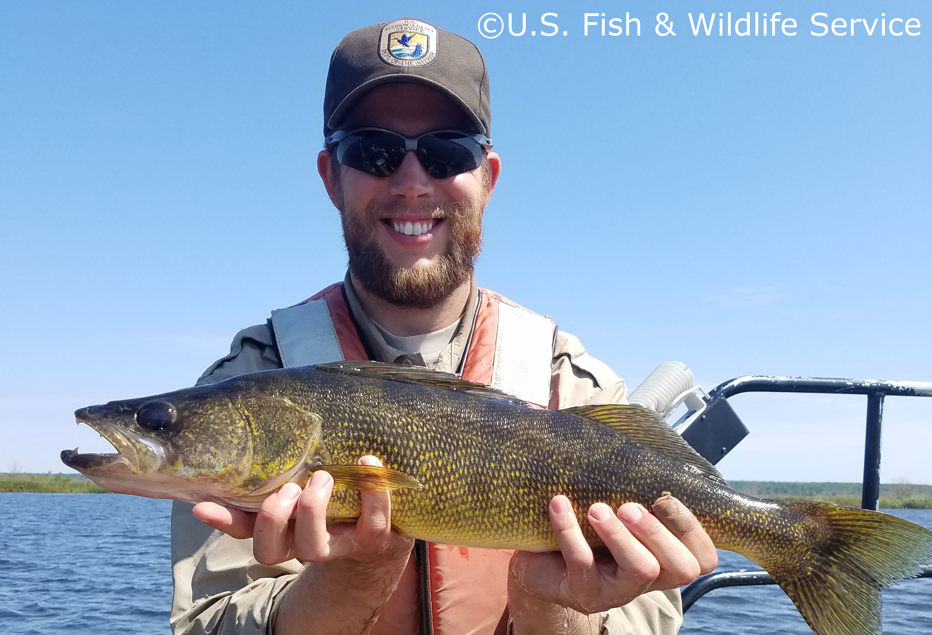 Man holding fish