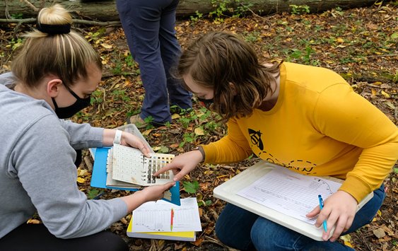 Researchers examining a soil identification chart