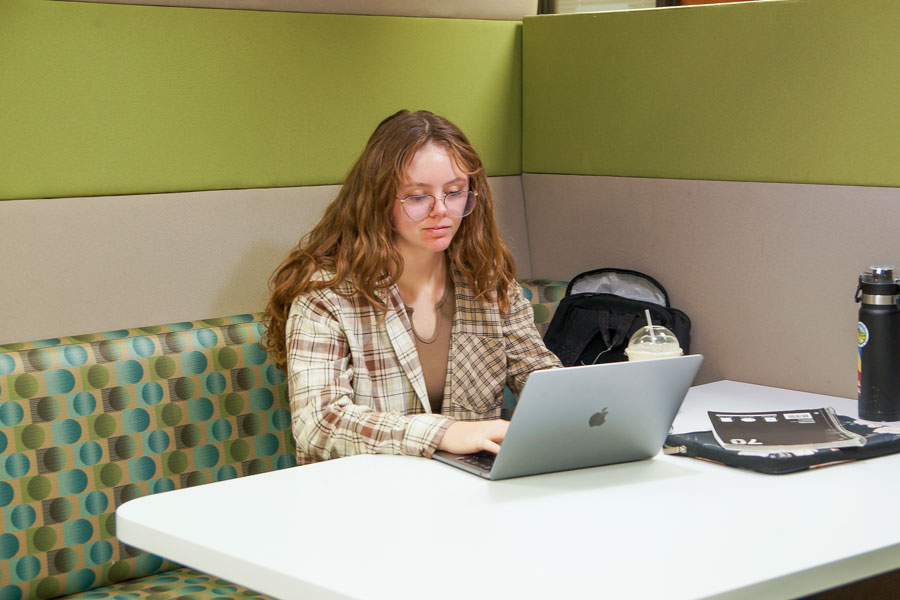 UW-Green Bay student studies on laptop