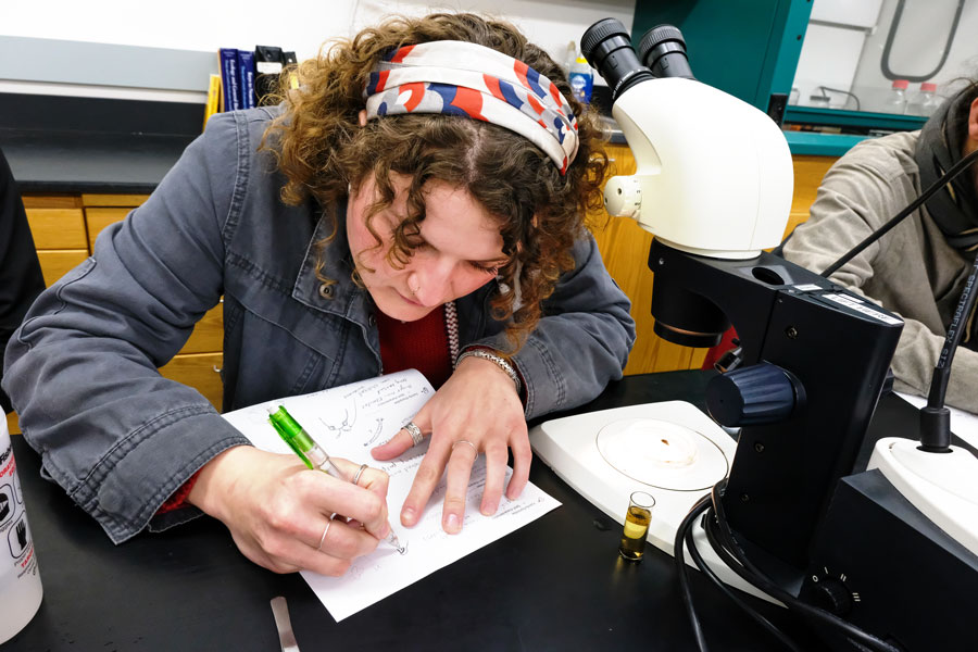 Graduate student performing research in lab