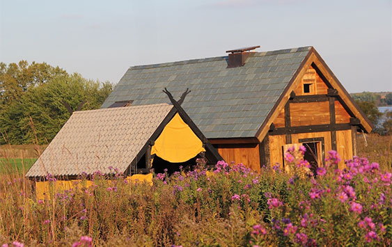 Viking House