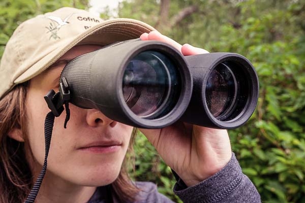 Biodiversity researcher using binoculars to conduct wetland survey