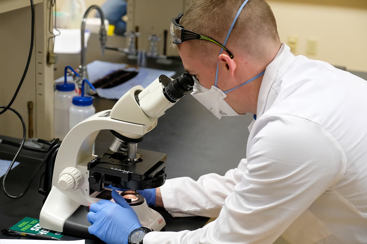 Image of student studying in a lab