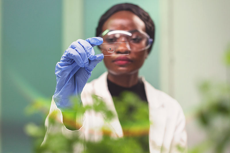 Botanist woman looking at a slide