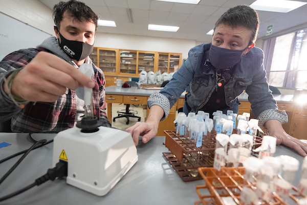 students working in lab