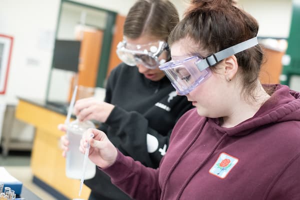 students working in lab