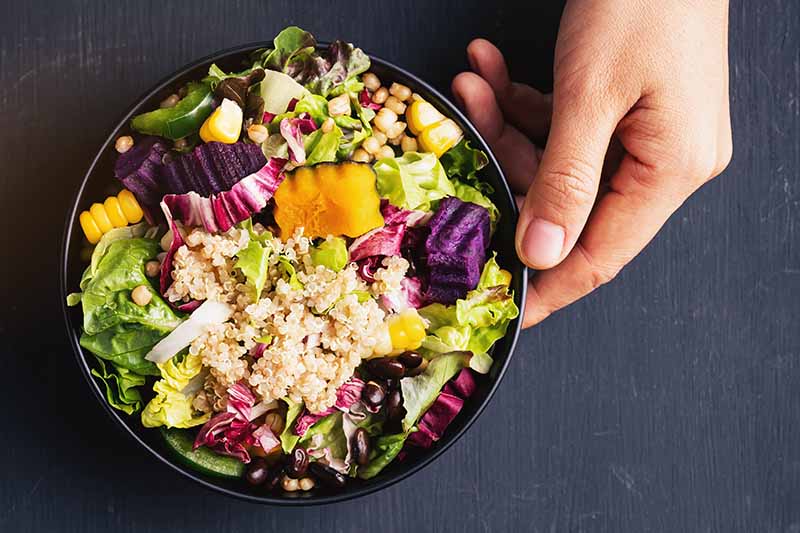 hand holding bowl full of plant-based foods