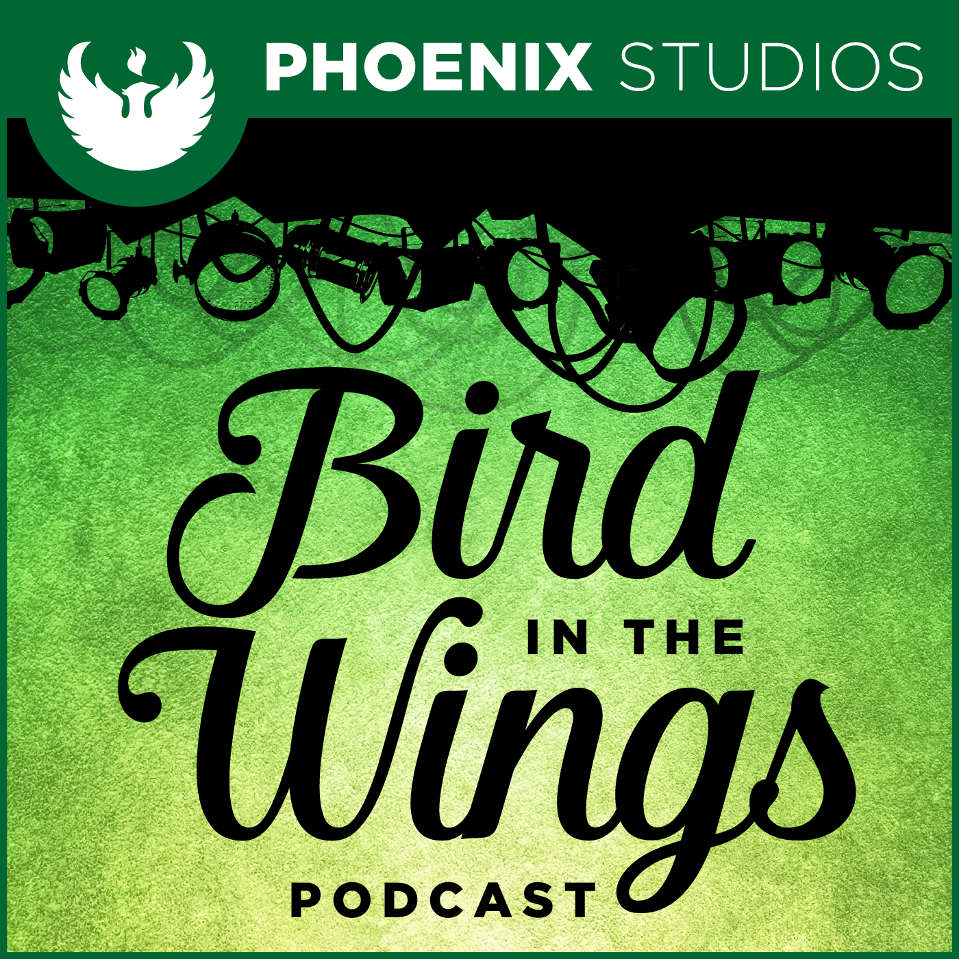 Bird in the Wings - A UWGB Podcast