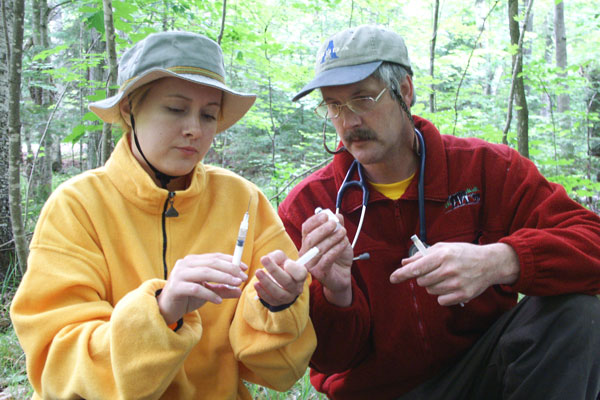 Environmental Science student and professor perform research outdoors