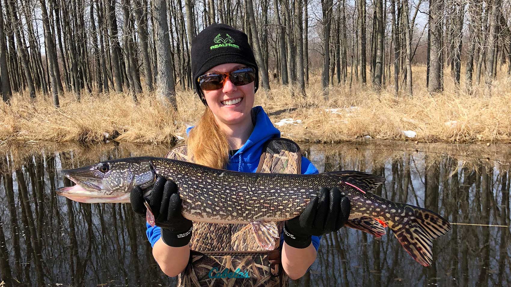 Northern Pike Research