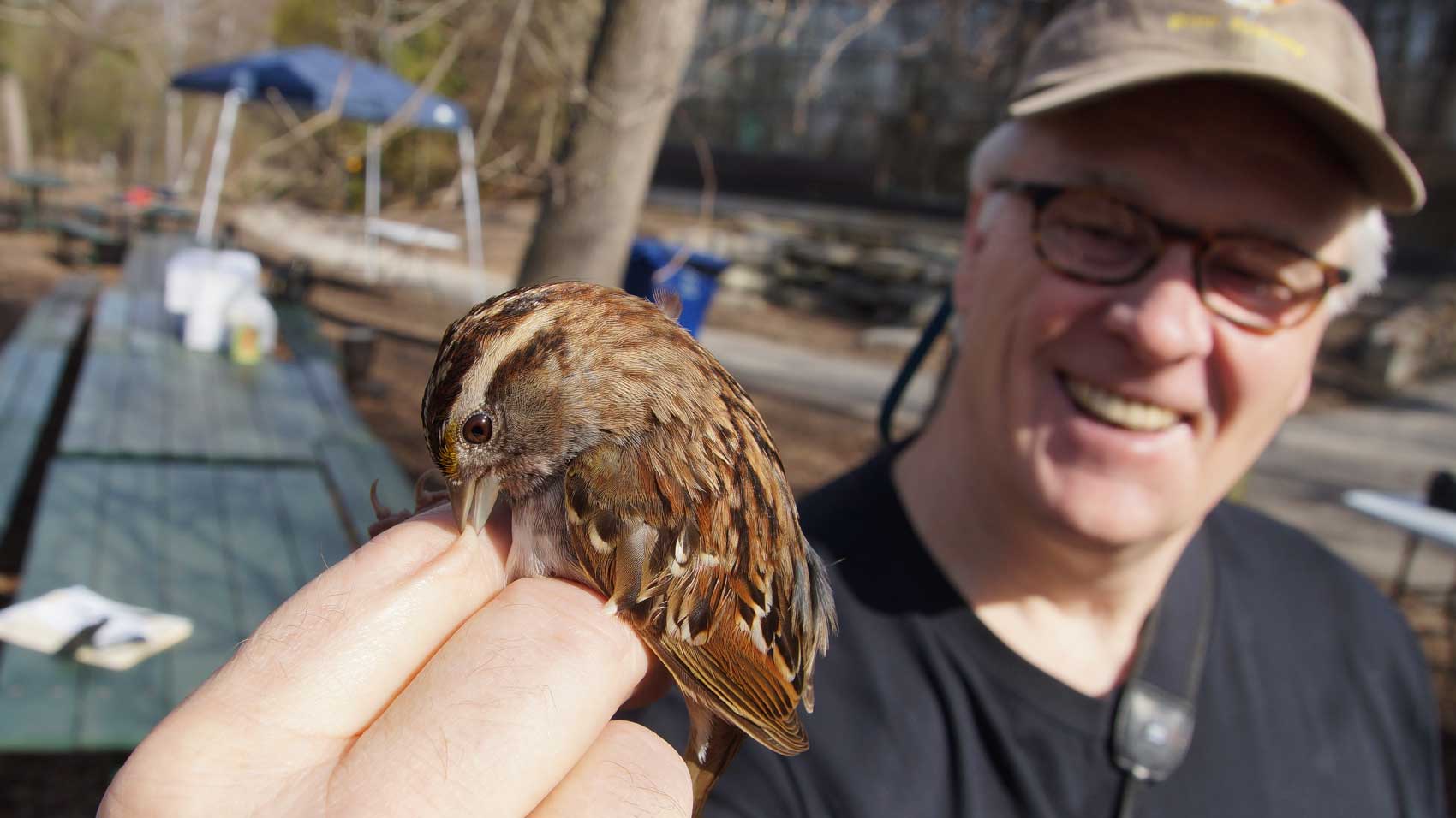 Bob How banding a bird
