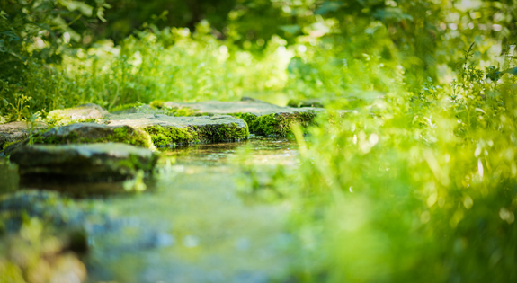 close up of river water