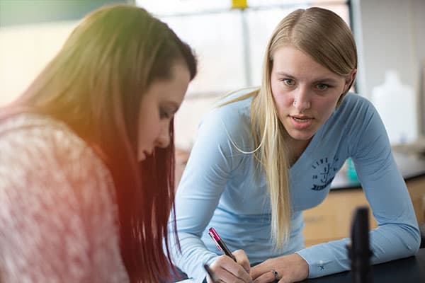 Students working together in class