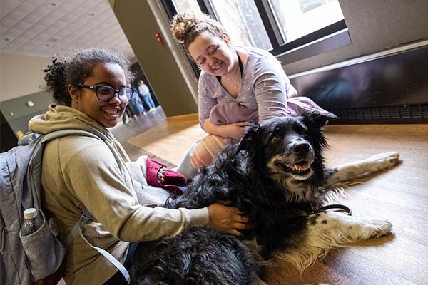 Students enjoying emotional therapy dogs event in the University Union