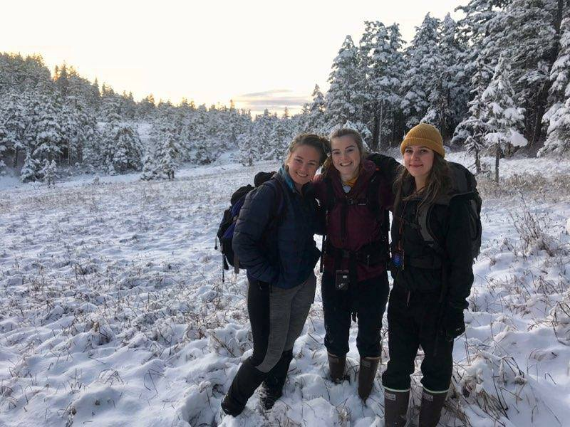 Three people in a snowy evergreen forest