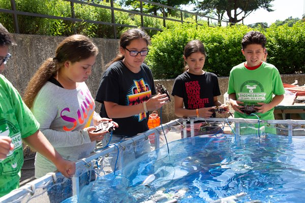 Campers using robots in water