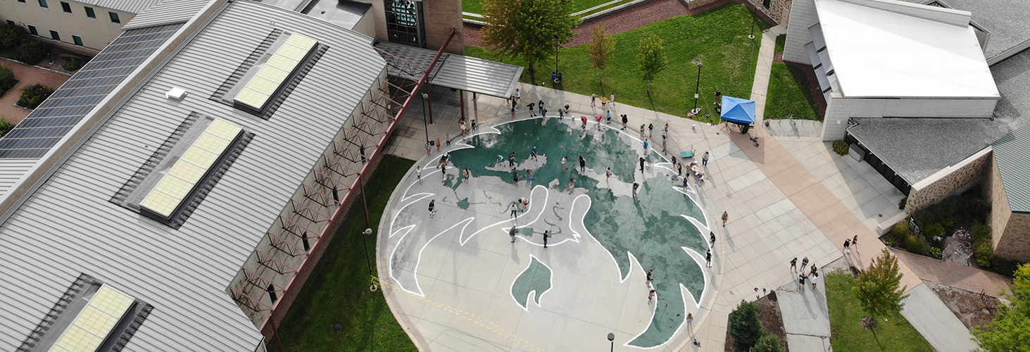 Freshmen Painting Phoenix Emblem