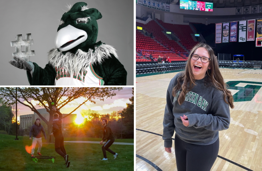a preview collage of uw-green bay's instagram