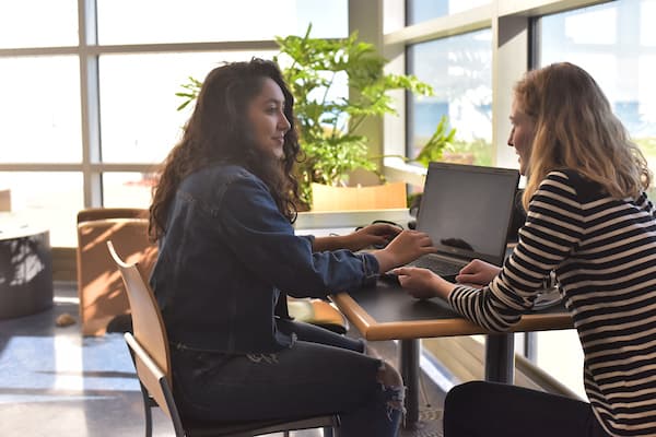 students using the web