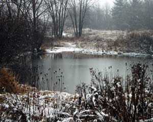 Snow on Prairie Pond in the Cofrin Arboretum.