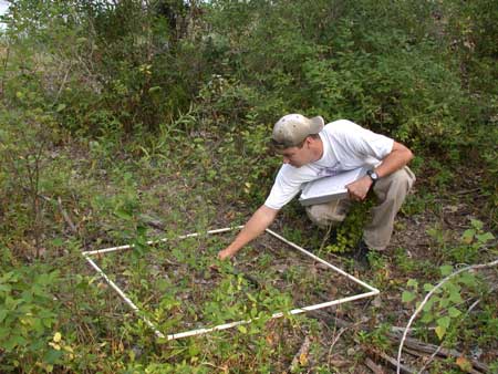 Graduate student Brad Herrick.