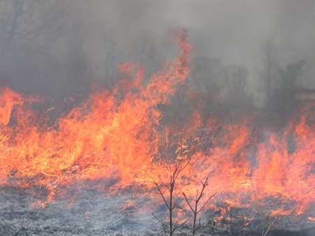 The Kieth White Prairie burns.