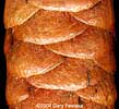 White Cone Scales