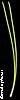 Read Leaves