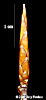 bud