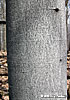 trunk