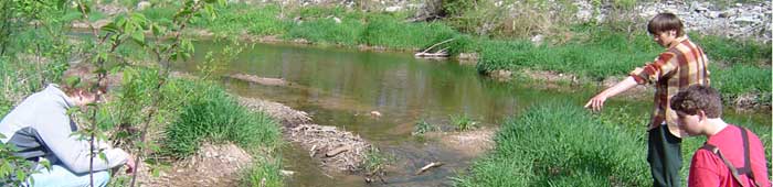 Students sampling local creek.