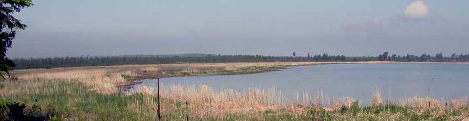Toft Point shoreline. Photo by Roy Lukes.