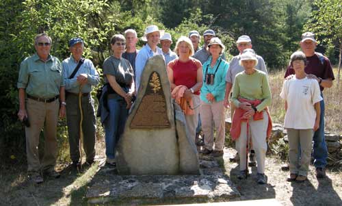Color and pattern in Common Murre eggs.
