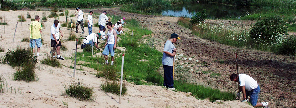 Boy scouts help with restoration projects in the Cofrin Arboretum.