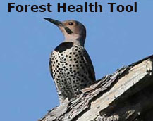 Click to use the forest health tool.
